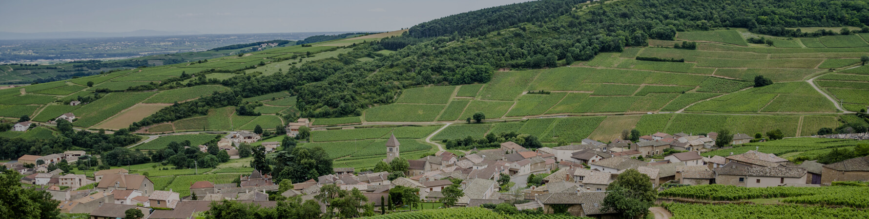 Talking Australian Wine in Burgundy