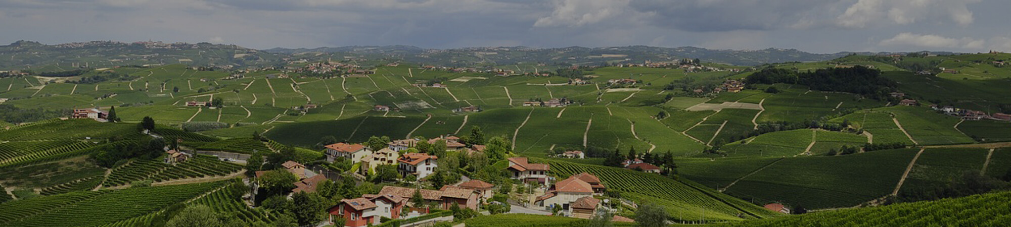 Visiting the Langhe